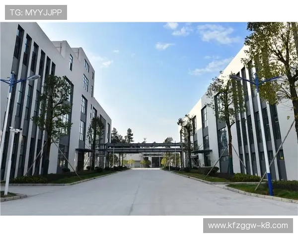 凯发集团官网首页网址官方最新地址，帮助用户轻松找到正规登录入口